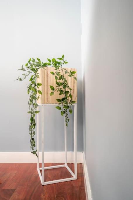 The House Of 14 -central, Sauna And Airport Shuttle Leilighet Stavanger